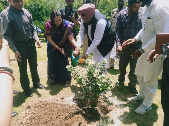 2.25 lakh saplings to be planted in all Urban Local Bodies, record of count & progress will be kept online: Balkar Singh 