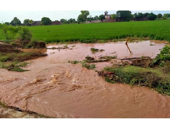 TSPL plugs canal breach in Perron village, Mansa, preventing major damage
