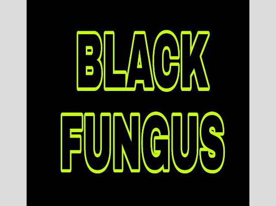 Black Fungus knocked in Ferozepur, 4 cases reported