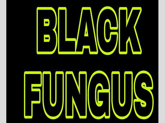 Chandigarh declares Black Fungus as Epidemic