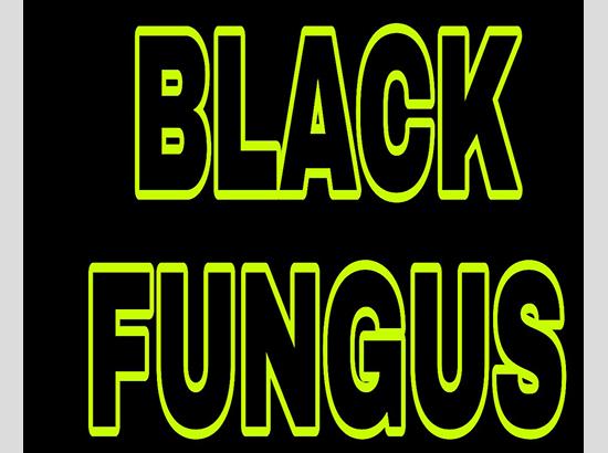 Punjab declares Black Fungus as an Epidemic