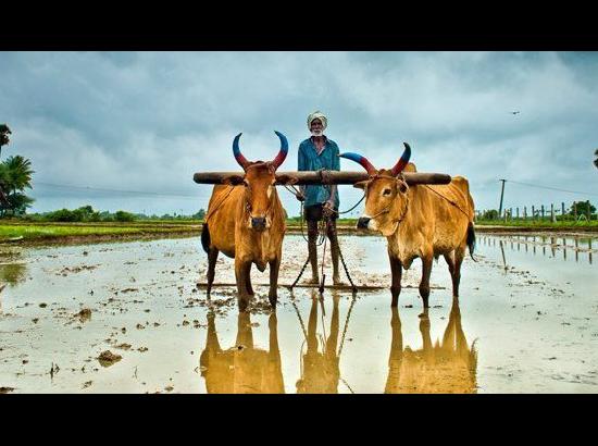 Farmer’s crisis - number of ways ahead

