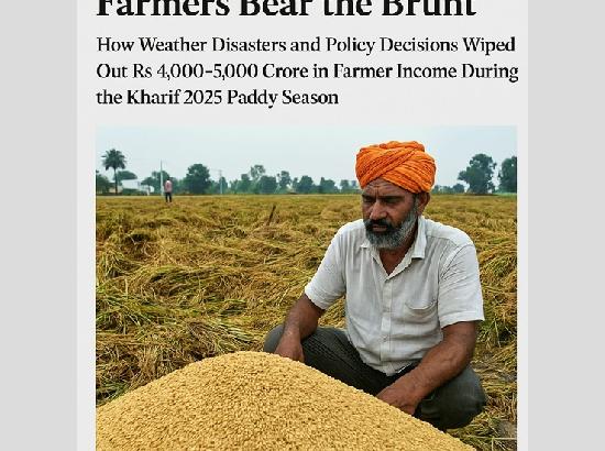 Punjab’s paddy procurement challenges: Farmers bear the brunt......by KBS Sidhu