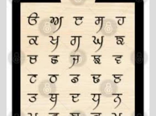 Punjabi language is the flight of our soul - Dr Jasbir Singh Sarna 