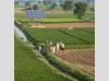 The Escalating Heatwave Crisis in Punjab—A Wake-Up Call on Climate Change......by Sehajpreet Singh