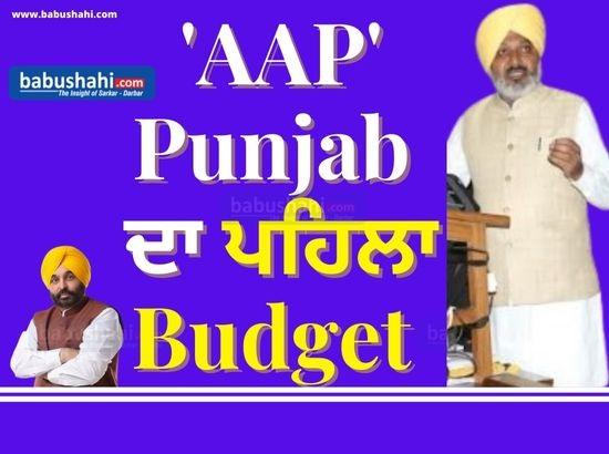 Punjab Budget 2022-23: Read what's coming up in Mohali