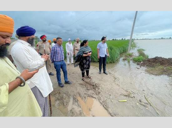 DC leads ground inspections, says no need to panic, Sutlej under control