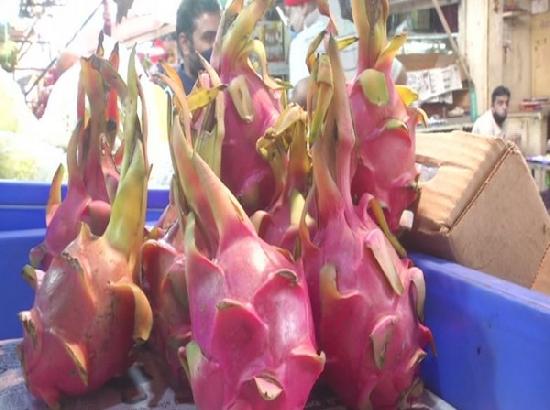 'Kamalam' has sweet, sour reactions from fruit traders, consumers