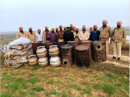 Illicit liquor flows freely in Ferozepur Distt, recovers 23,000 ltrs 'lahan'