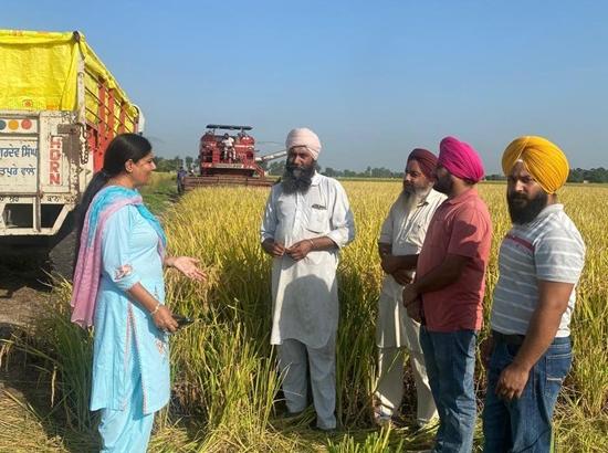 Moga farmer set example by not burning paddy stubble for 10 years