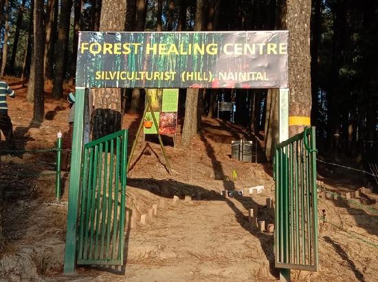 India's first forest healing centre inaugurated in Uttarakhand's Ranikhet