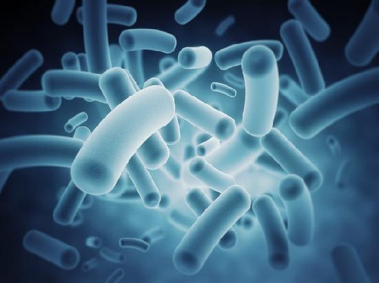 Study reveals connection between gut bacteria, vitamin D levels