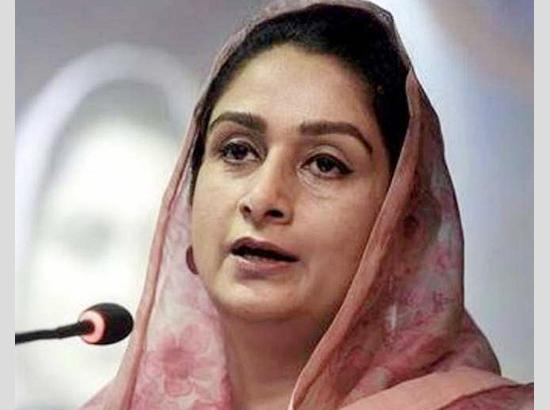 Akali MP Harsimrat Kaur Badal Ties Rakhi to Jailed Majithia