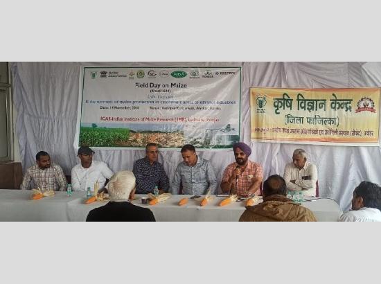 ICAR promotes maize cultivation for ethanol production in Fazilka: Over 100 farmers attend “Field Day Program