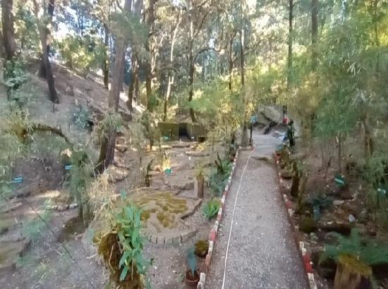 India gets its first Moss garden in Nainital