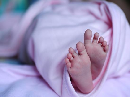 Mohali: Newborn girl found dumped in bushes