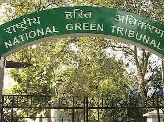 NGT takes suo moto cognizance of toxic crisis at Chandigarh's Dadumajra dumping site 
