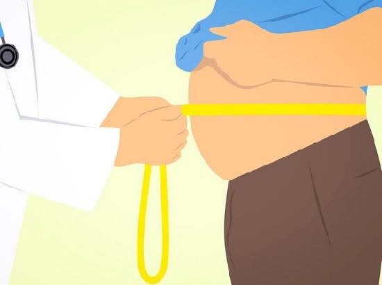 Study sheds light on possible factors leading to obesity
