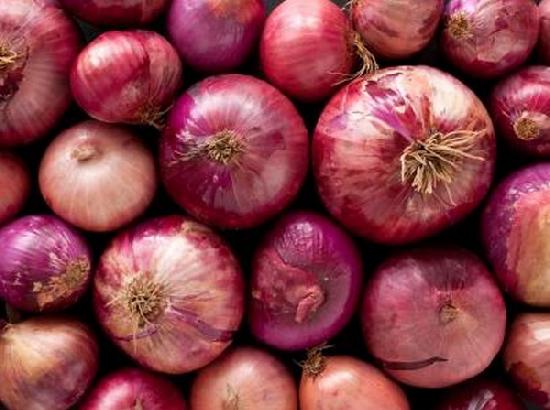 Govt agency NAFED to begin procurement of onion in Gujarat as prices fall