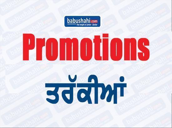 12 Punjab Kanugos promoted as Naib-Tehsildars