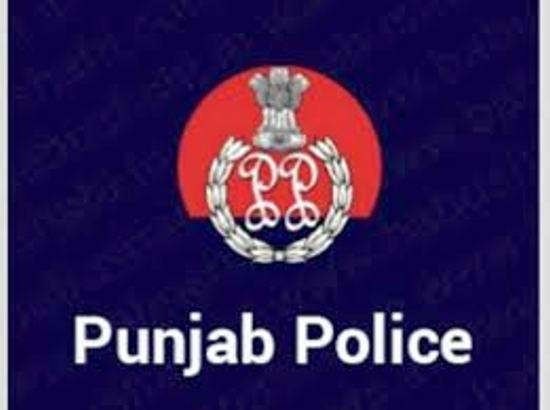 Punjab Police dismantles cross-border terror module, arrests 10 people
