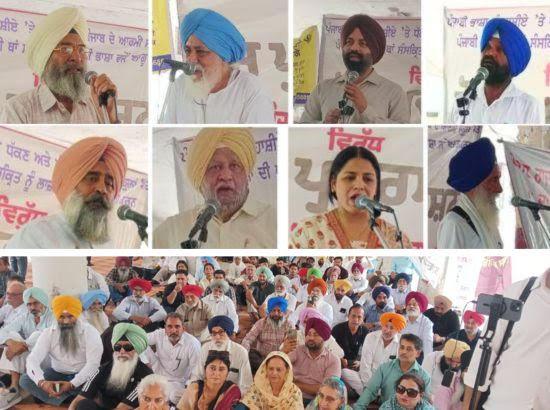 Pro-Punjabi Groups Stage Protest Over Punjabi Language Bias in Army Schools
