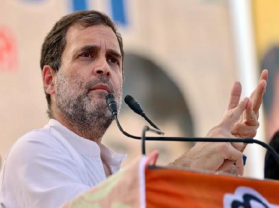 'Youths are anguished': Rahul Gandhi appeals to Cong workers not to celebrate his birthday