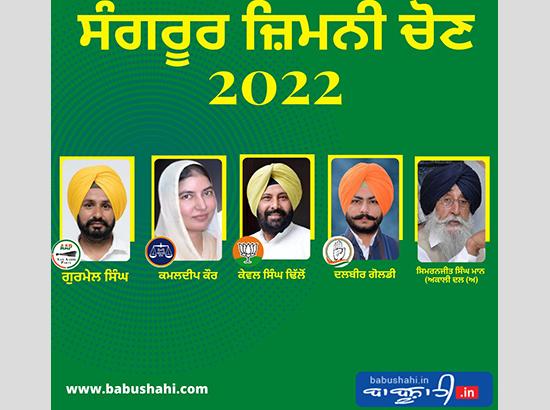 Sangrur By-Poll RO recommends action against a prominent News Channel for violating NBSA guidelines