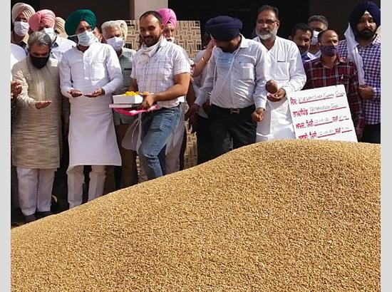 878376 MT Wheat Procured on eighth day