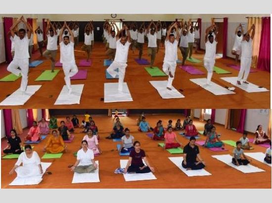 BSF celebrates Yogotsav ahead of  9th International Yoga Day